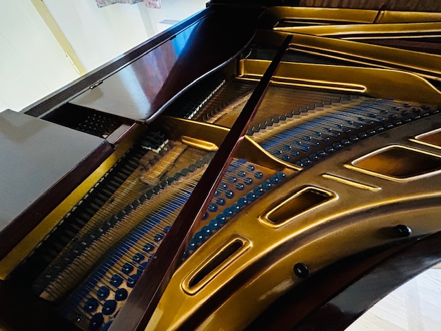 Klavier- und Kammermusik